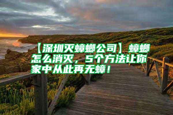 【深圳滅蟑螂公司】蟑螂怎么消滅，5個方法讓你家中從此再無蟑！
