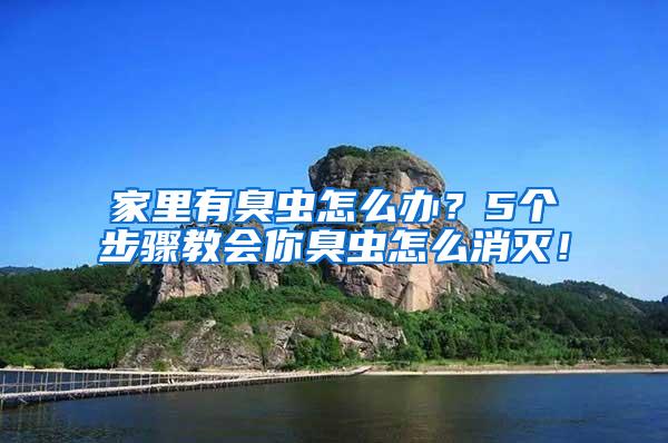 家里有臭蟲(chóng)怎么辦？5個(gè)步驟教會(huì)你臭蟲(chóng)怎么消滅！