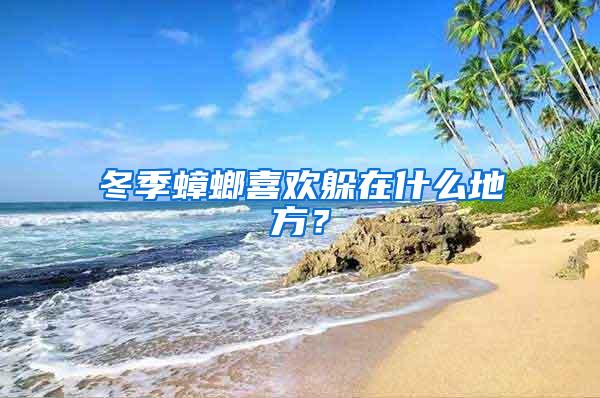 冬季蟑螂喜歡躲在什么地方？