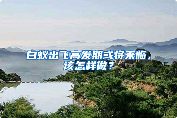白蟻出飛高發期或將來臨，該怎樣做？