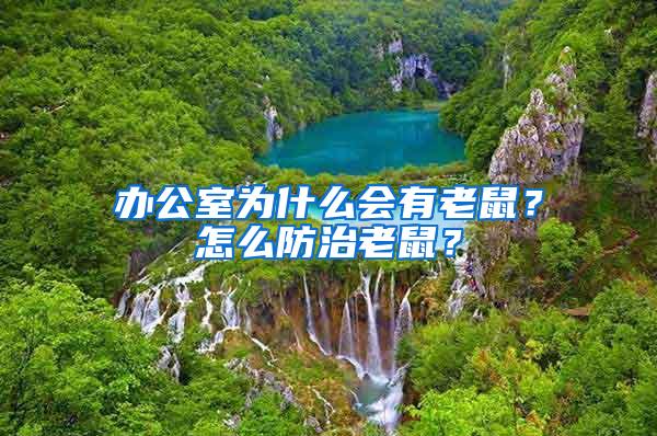 辦公室為什么會有老鼠？怎么防治老鼠？