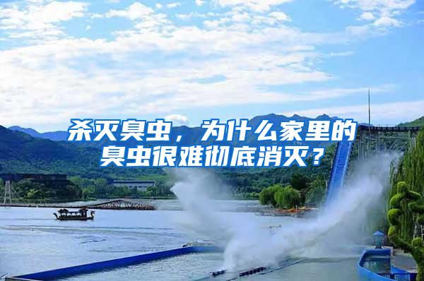 殺滅臭蟲(chóng)，為什么家里的臭蟲(chóng)很難徹底消滅？
