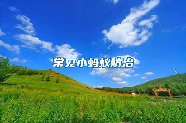 常見(jiàn)小螞蟻防治