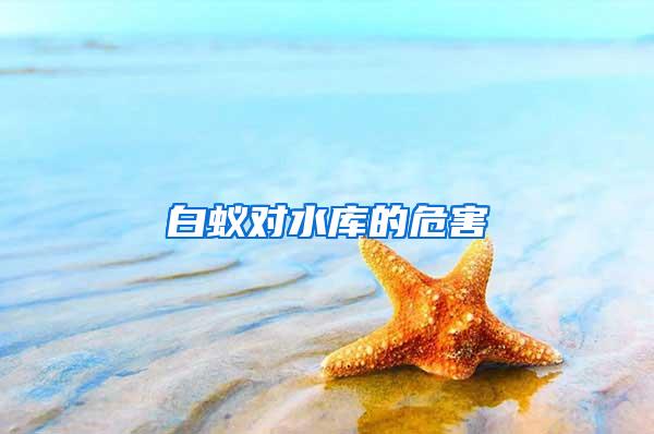白蟻對(duì)水庫(kù)的危害