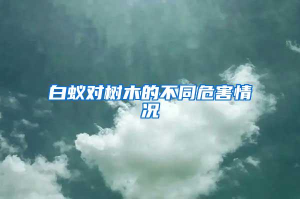 白蟻對(duì)樹木的不同危害情況