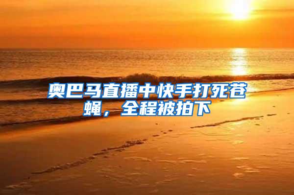 奧巴馬直播中快手打死蒼蠅，全程被拍下