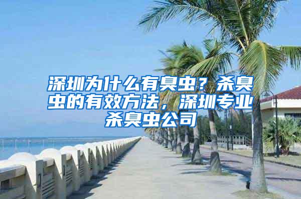 深圳為什么有臭蟲？殺臭蟲的有效方法，深圳專業殺臭蟲公司