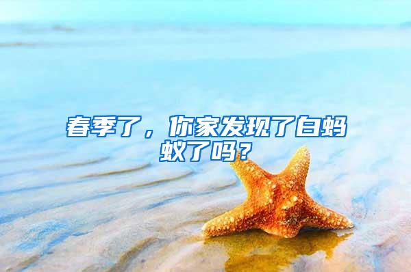 春季了，你家發現了白螞蟻了嗎？
