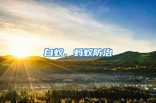 白蟻、螞蟻防治