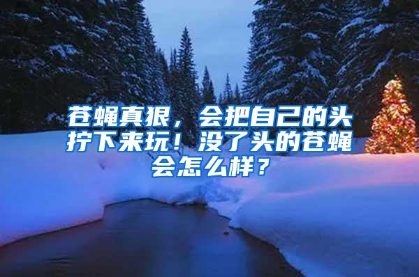 蒼蠅真狠，會(huì)把自己的頭擰下來(lái)玩！沒(méi)了頭的蒼蠅會(huì)怎么樣？