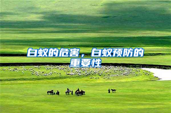 白蟻的危害，白蟻預(yù)防的重要性