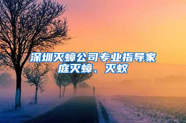 深圳滅蟑公司專業(yè)指導(dǎo)家庭滅蟑、滅蟻