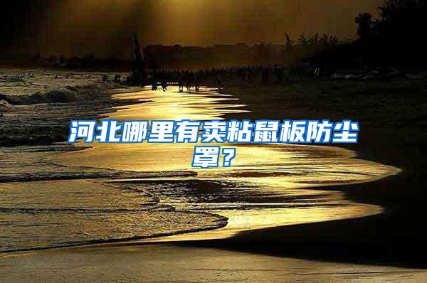 河北哪里有賣粘鼠板防塵罩？