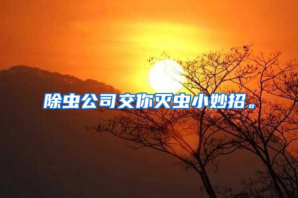 除蟲公司交你滅蟲小妙招。