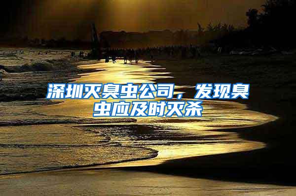 深圳滅臭蟲公司，發現臭蟲應及時滅殺