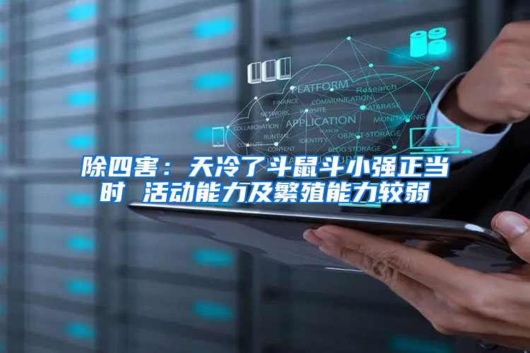 除四害：天冷了斗鼠斗小強正當(dāng)時 活動能力及繁殖能力較弱