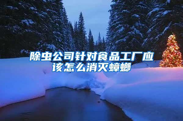 除蟲公司針對(duì)食品工廠應(yīng)該怎么消滅蟑螂