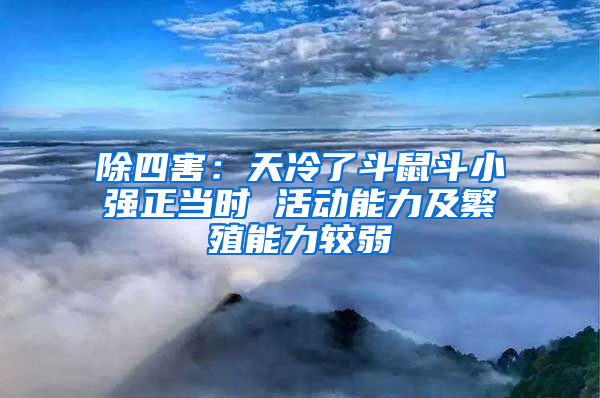除四害：天冷了斗鼠斗小強正當(dāng)時 活動能力及繁殖能力較弱