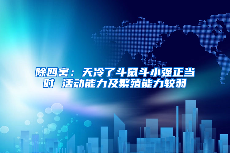 除四害：天冷了斗鼠斗小強(qiáng)正當(dāng)時 活動能力及繁殖能力較弱