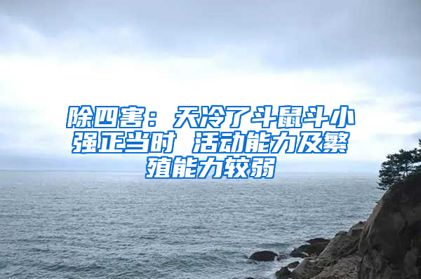 除四害：天冷了斗鼠斗小強正當(dāng)時 活動能力及繁殖能力較弱