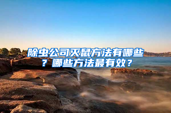 除蟲公司滅鼠方法有哪些？哪些方法最有效？