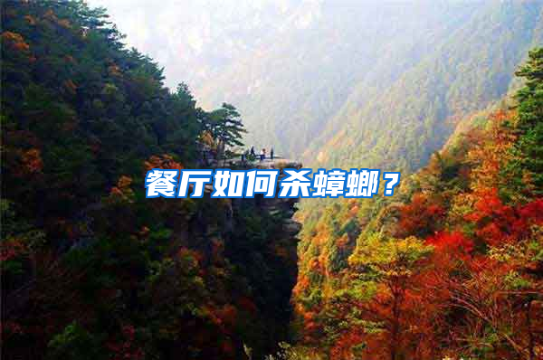 餐廳如何殺蟑螂？