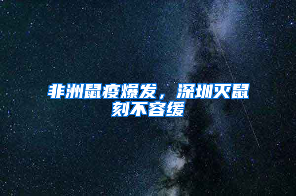 非洲鼠疫爆發，深圳滅鼠刻不容緩
