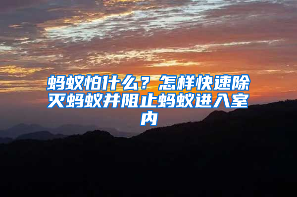 螞蟻怕什么？怎樣快速除滅螞蟻并阻止螞蟻進(jìn)入室內(nèi)