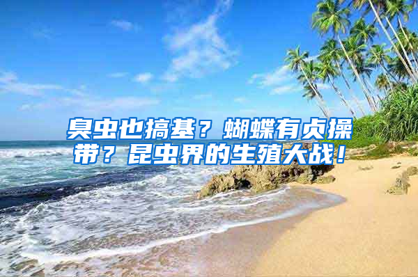 臭蟲也搞基？蝴蝶有貞操帶？昆蟲界的生殖大戰！