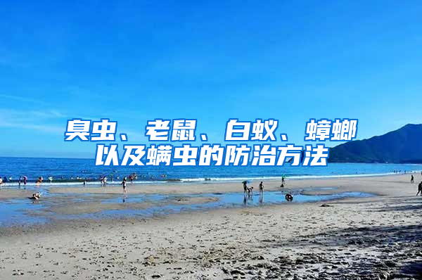 臭蟲(chóng)、老鼠、白蟻、蟑螂以及螨蟲(chóng)的防治方法