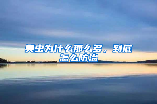 臭蟲為什么那么多，到底怎么防治
