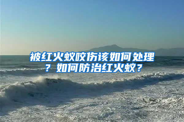 被紅火蟻咬傷該如何處理？如何防治紅火蟻？