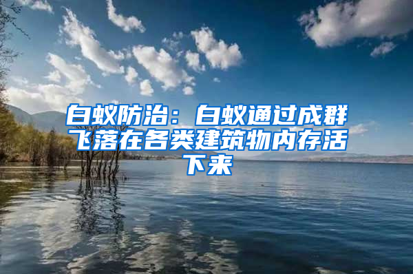 白蟻防治：白蟻通過成群飛落在各類建筑物內(nèi)存活下來