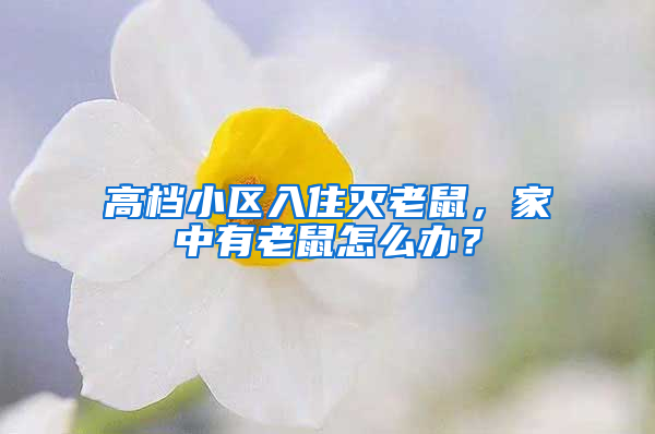 高檔小區入住滅老鼠，家中有老鼠怎么辦？