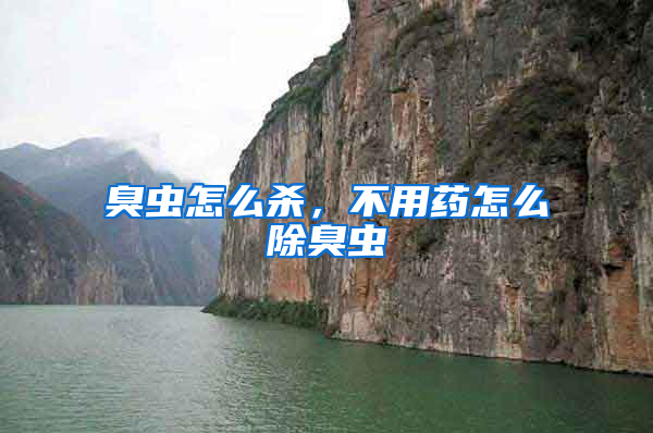 臭蟲怎么殺，不用藥怎么除臭蟲