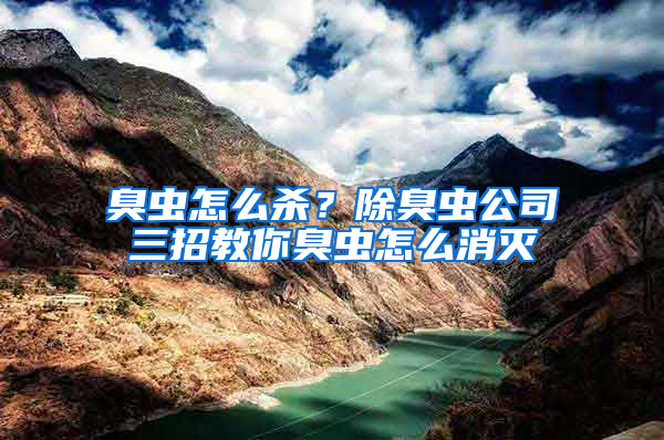 臭蟲(chóng)怎么殺？除臭蟲(chóng)公司三招教你臭蟲(chóng)怎么消滅