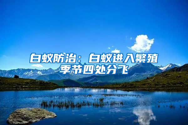 白蟻防治：白蟻進(jìn)入繁殖季節(jié)四處分飛