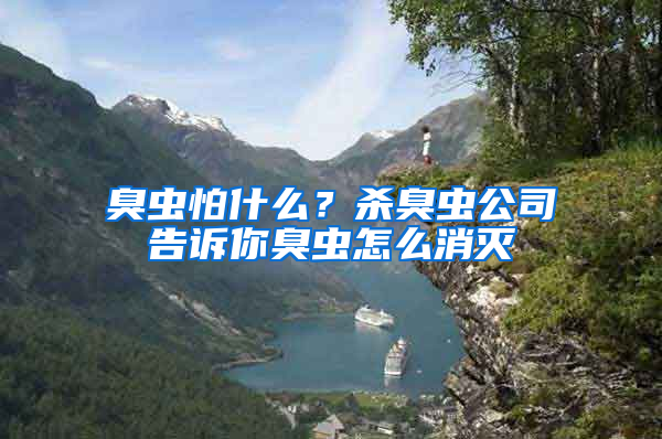 臭蟲(chóng)怕什么？殺臭蟲(chóng)公司告訴你臭蟲(chóng)怎么消滅