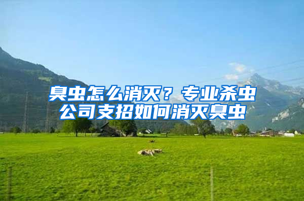 臭蟲怎么消滅？專業殺蟲公司支招如何消滅臭蟲